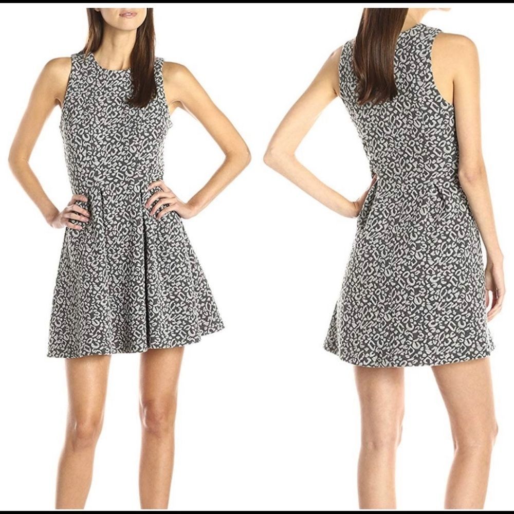 🚨 Jack by BB Dakota Gray Leopard Print Dress M